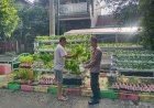 Bhabinkamtibmas-Desa-Larangan-Cek-Ketahanan-Pangan-dengan-Hidroponik