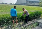 Dukung-Program-Ketahanan-Pangan-Nasional,-Bhabinkamtibmas-Desa-Juwetkenongo-Tinjau-Lahan-Pertanian