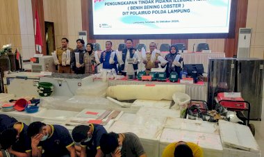 KKP-Apresiasi-Polda-Lampung-Ungkap-Penyelundupan-Baby-Lobster