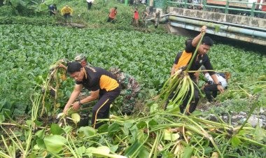Forkopimka-Sidoarjo-Kota-Bersihkan-Sampah-dan-Enceng-Gondok-di-Sungai-Gebang