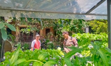 Polsek-Balongbendo-Masifkan-Bhabinkamtibmas-Dampingi-Warga-dalam-Pengelolaan-Pekarangan-Pangan-Bergizi