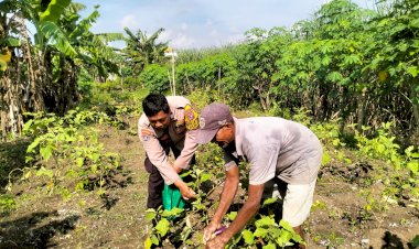 Dukung-Program-Ketahanan-Pangan,-Bhabinkamtibmas-Desa-Jiken-Tinjau-Lahan-Produktif-Warga