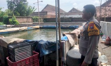 Bhabinkamtibmas-Desa-Singopadu-Tinjau-Kolam-Lele-Warga-Guna-Dukung-Swasembada-Pangan