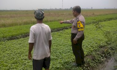 Polresta-Sidoarjo-|-Petani-Sayur-di-Kedungboto-Tunjukkan-Perkembangan-Positif