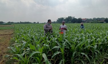 Bhabinkamtibmas-Desa-Segodobancang-Perkuat-Ketahanan-Pangan-Lokal